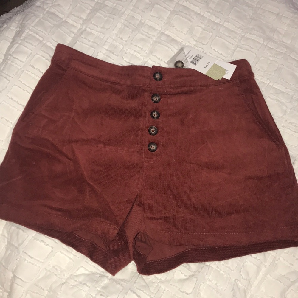 Gianni Bini Velvet Shorts
